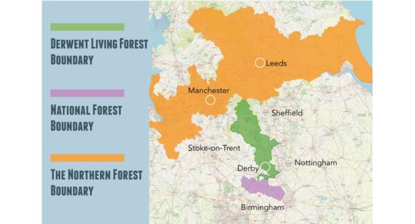 Derwent Living Forest Programme
